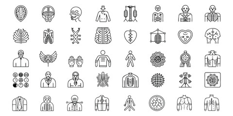 Human Anatomy Line Art Vector Icons Set. 65 Icons anatomy, diagram, line art, vector, icons, set, human, body concept illustration. 