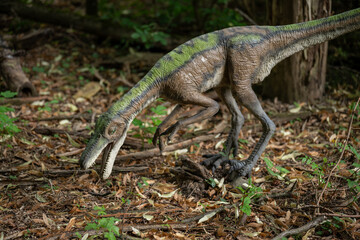 Velociraptor dinosaur figurine in a forest.
