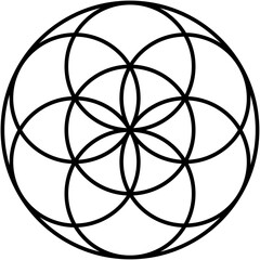 Pattern, geometric design of interwoven black color circles and lines, symmetrical and clean vector floral or star-like shape inside with isolated background.