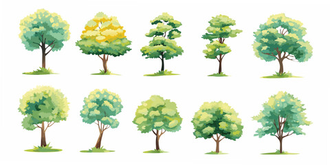 Fototapeta premium Collection of ten diverse stylized deciduous trees with green and yellow foliage on a white background