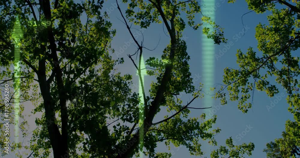 Poster digital hud initiating scanning tree canopy in environmental monitoring with sunlight emerging