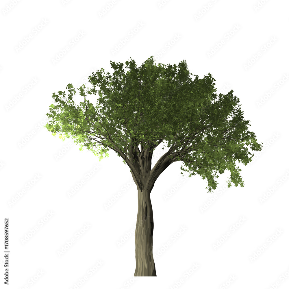 Poster a single tree with a thick trunk and green foliage stands against a black background in a simple ima