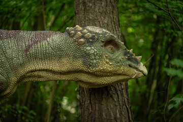 Close-up of the head of a Pachycephalosaurus plastic figurine in the forest.
