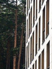 Buildings and forest
