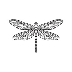 Dragonfly Insect Vector Icon