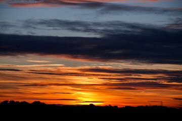 Sunset over the Trees