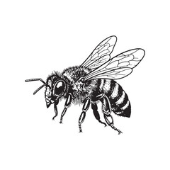 Bee Silhouette Insect Icon