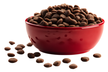 Fresh Pet Food Display in Red Bowl with Scattered Kibble