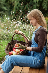 Smiling woman harvesting apples in garden holding wicker basket full of fresh fruit. Autumn lifestyle, organic gardening and healthy eating seasonal local food