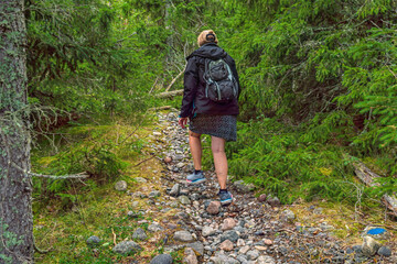 Obraz premium Female hiker walking along a rocky path surrounded by lush green forest in Northern Sweden, enjoying the tranquility of nature during a summer trek