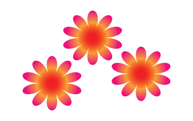 Three vibrant flowers with gradient petals on white background