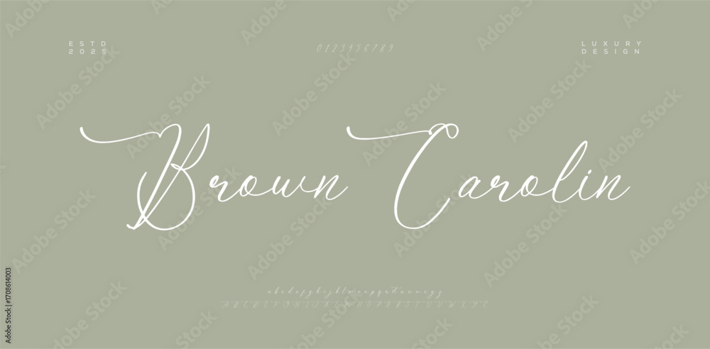 Poster hand drawn vector alphabet. modern monoline signature script font. elegant signature font. best alph