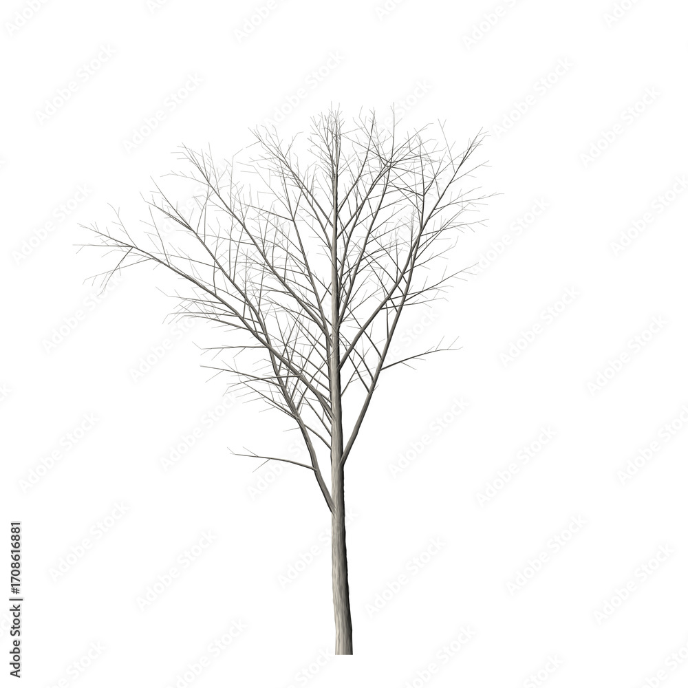 Poster a solitary tree with bare branches standing against a stark black background in a minimalist composi
