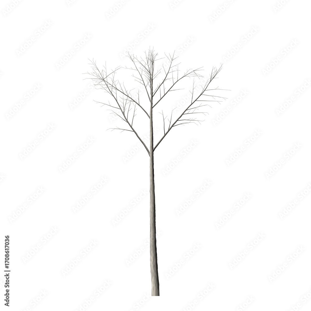 Poster a minimalist silver tree branch with delicate leaves isolated against a stark black background creat