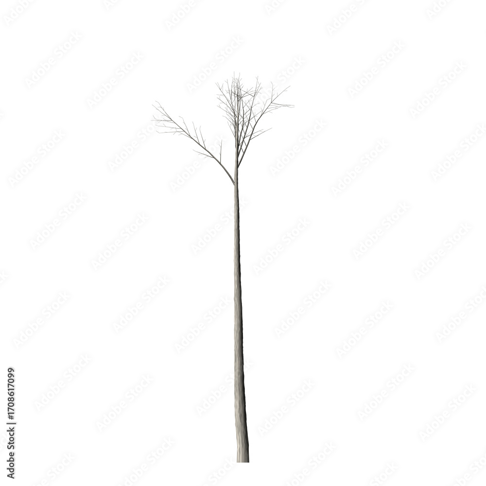 Poster a single silver stem with small leaf like structures against a stark black background in a studio sh