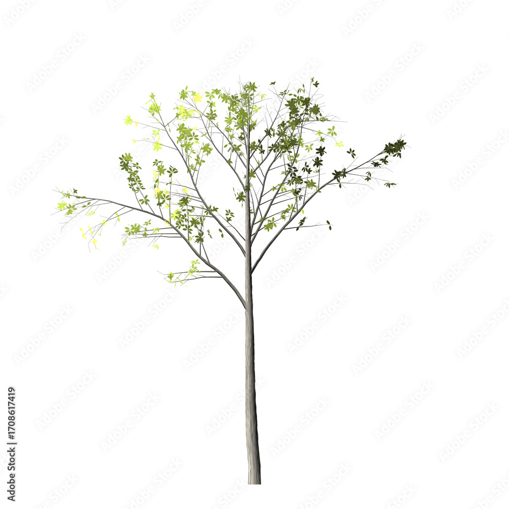 Poster a digitally rendered tree with light green leaves and thin branches against a black background image