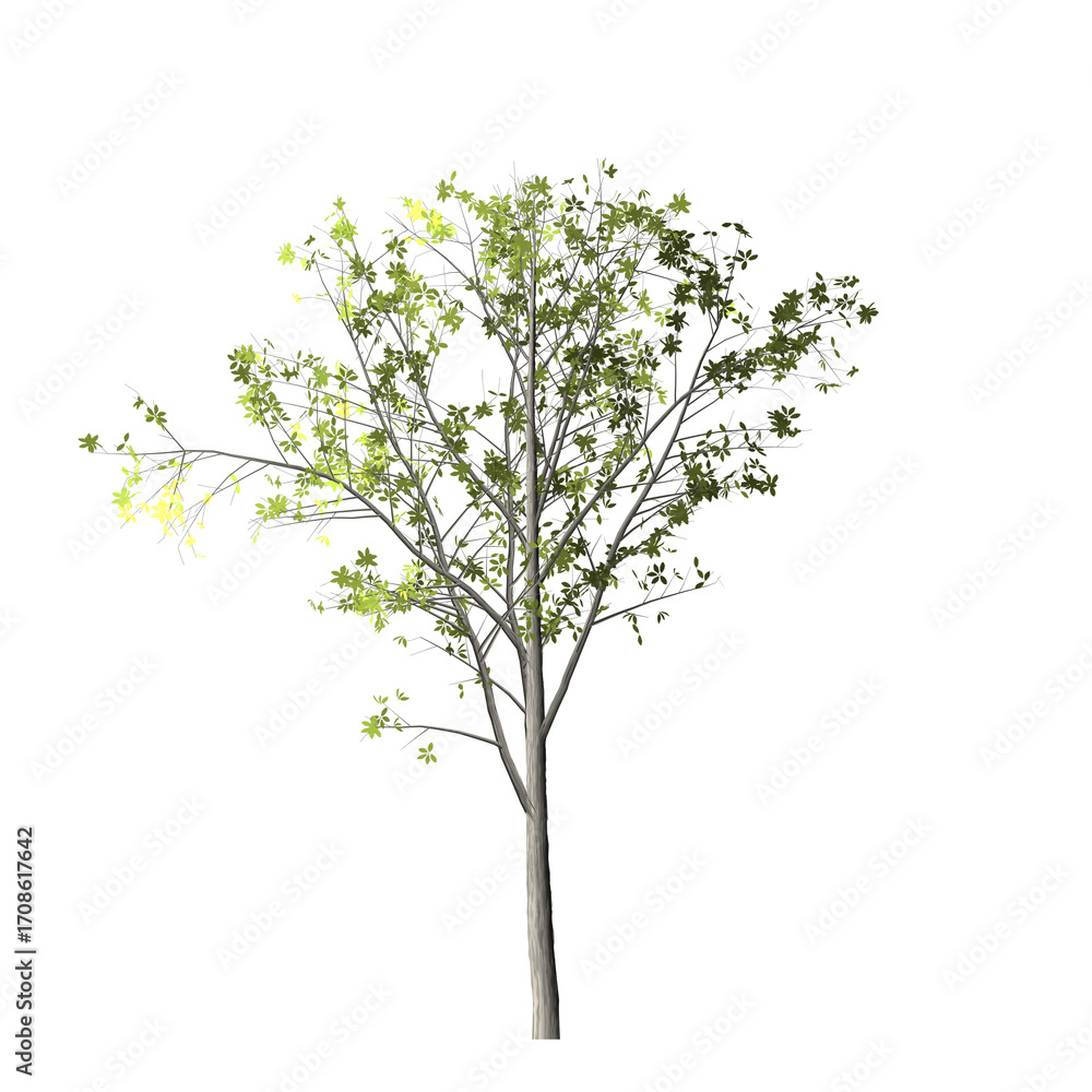 Aufkleber a digitally rendered tree with light green leaves and a light gray trunk on a black background view