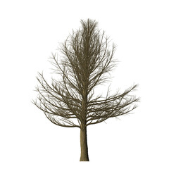 A solitary tree stands against a stark black background its branches bare and reaching upwards to...