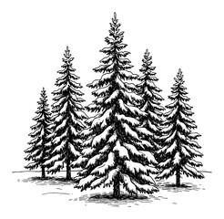Beautiful Winter Scene of Snow Covered Fir Trees Landscape Black and White Outline Line Art Drawing