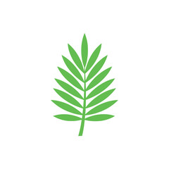 A simple illustration of a green palm leaf against a plain white background.