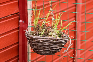 A basket of plants suspended from a wire fence, great for gardening or outdoor decor
