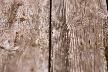 A detailed look at the texture and patterns found in a piece of wood