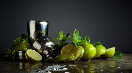 Shaker, lime slices, and fresh mint branches.