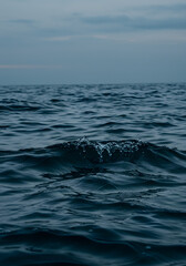Fototapeta premium Tranquil seascape captures the rhythmic ebb and flow of dark blue ocean waves under a muted sky near the horizon