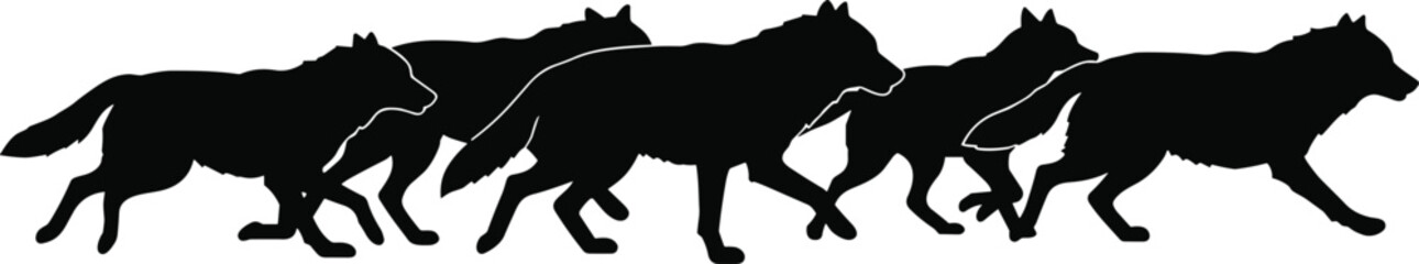 Vector illustration of a wolf pack running in silhouette style, depicting natural wildlife behaviorVector illustration of a wolf pack running in silhouette style, depicting natural wildlife behavior