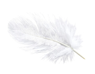 Fototapeta premium Close-Up White Feather with Fine Texture, Angled Perspective, isolated transparent background png