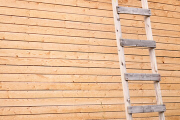 A wooden ladder leans against a wooden wall in a rustic setting