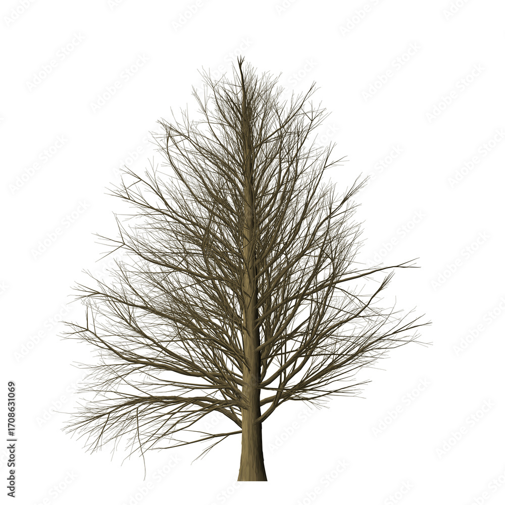 Poster a bare tree with many branches and no leaves standing alone against a black background in a digital 