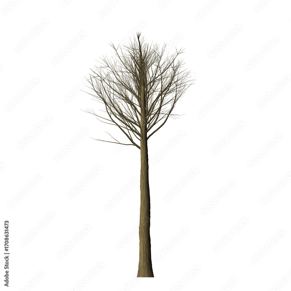 Poster a solitary tree with a slender trunk and bare branches stands against a stark black background in is