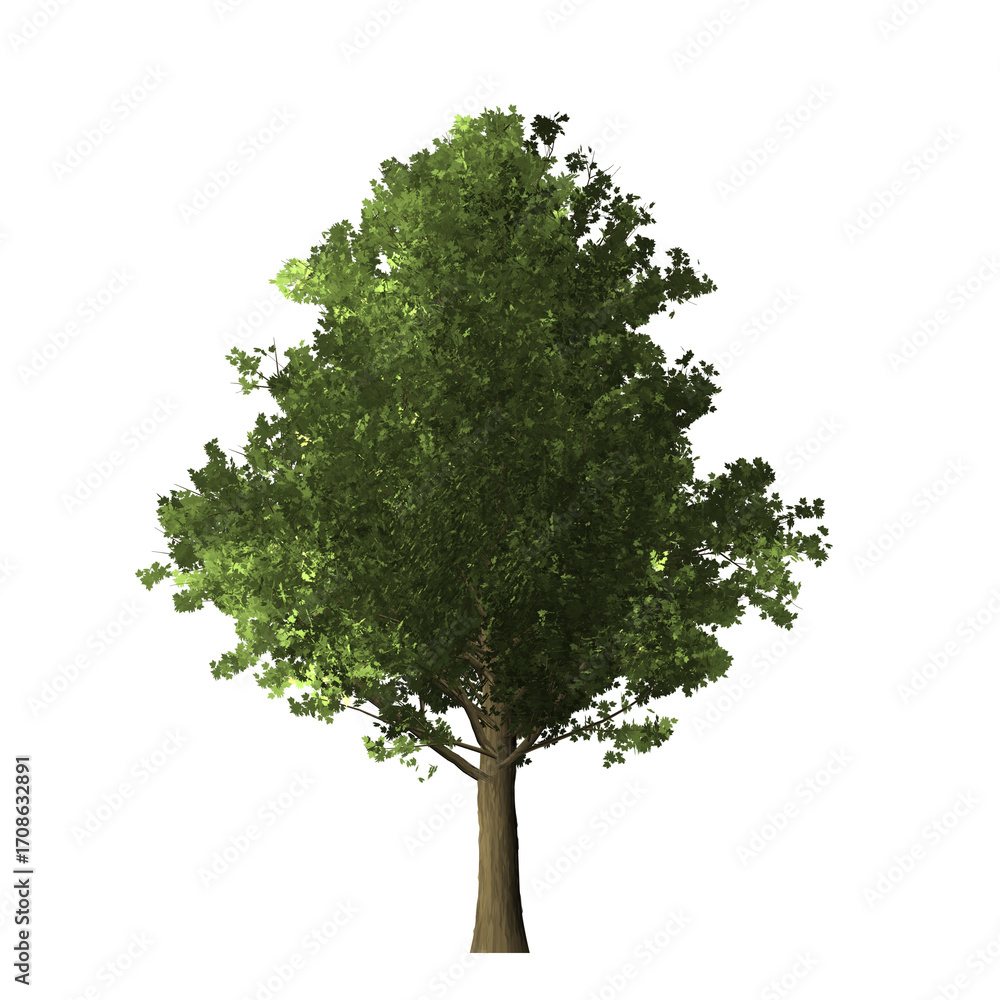Poster a single tree with green leaves and a brown trunk isolated against a black background in a simple im