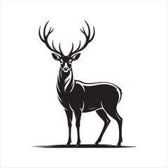 Fototapeta premium Majestic Stag Silhouette Standing Proudly deer animal