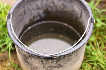 A water bucket sits on the ground, containing liquid