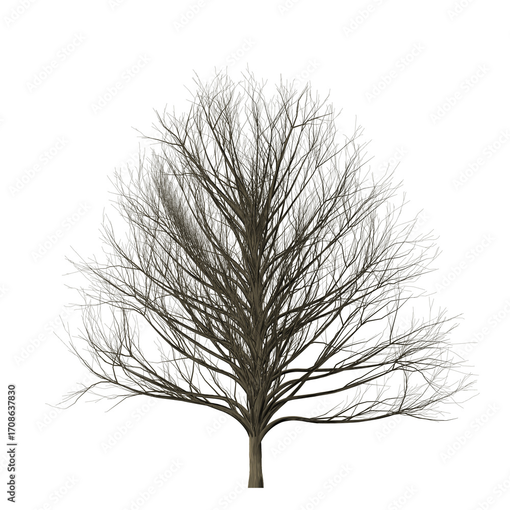 Poster a solitary tree with bare branches against a stark black background creating a somber and minimalist