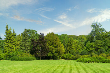 Vibrant green landscape showcasing trees under a clear blue sky at midday