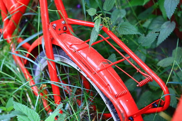 A close-up shot of a red bicycle lying in a lush green grass