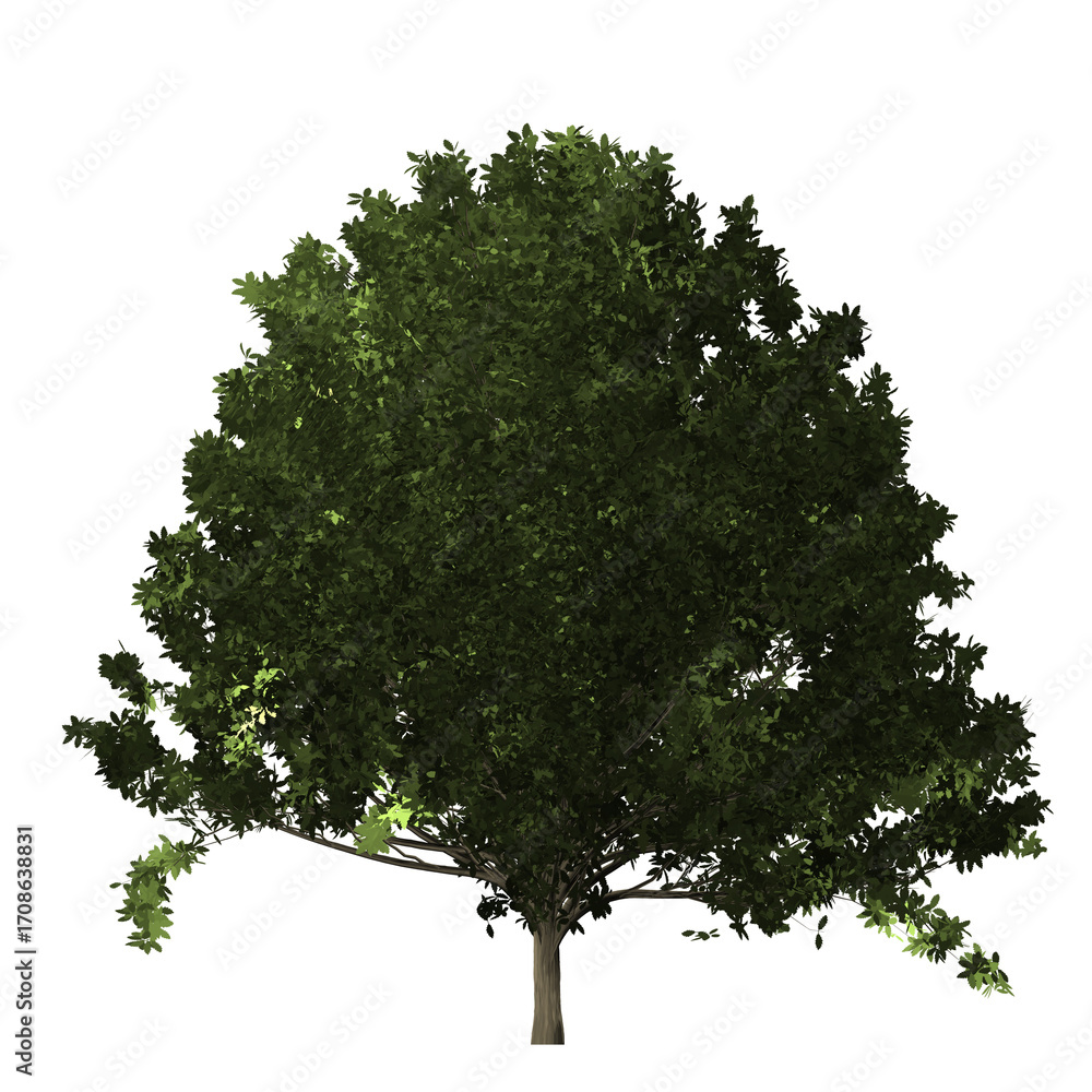 Poster a single tree with dense green foliage and a visible trunk isolated against a black background in fu