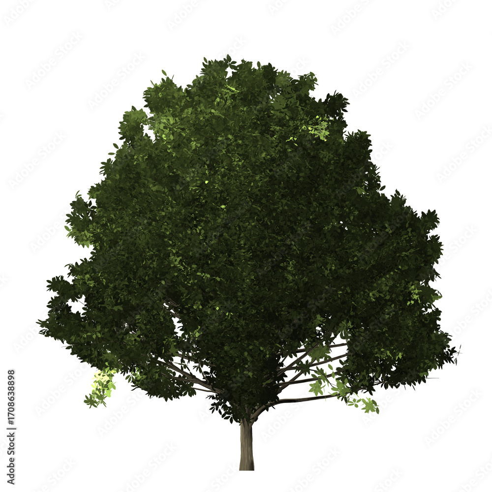 Poster a full tree with green leaves and a visible trunk against a black background in a digital rendering 