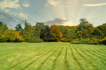 Vibrant green field surrounded by colorful trees during an afternoon in early autumn © prystai