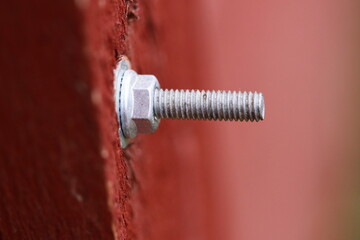 A detailed view of a screw head on wooden surface