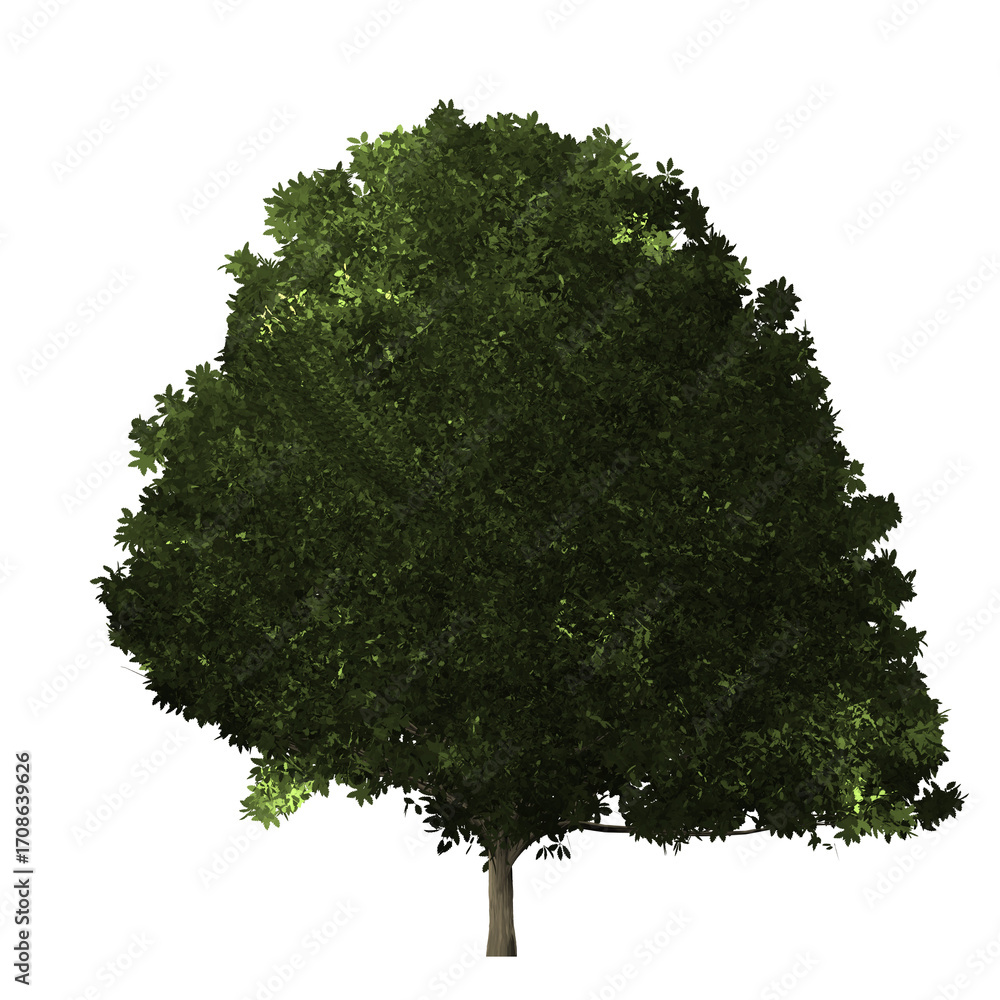 Poster a single tree with dense green foliage against a black background in a digital rendering style image