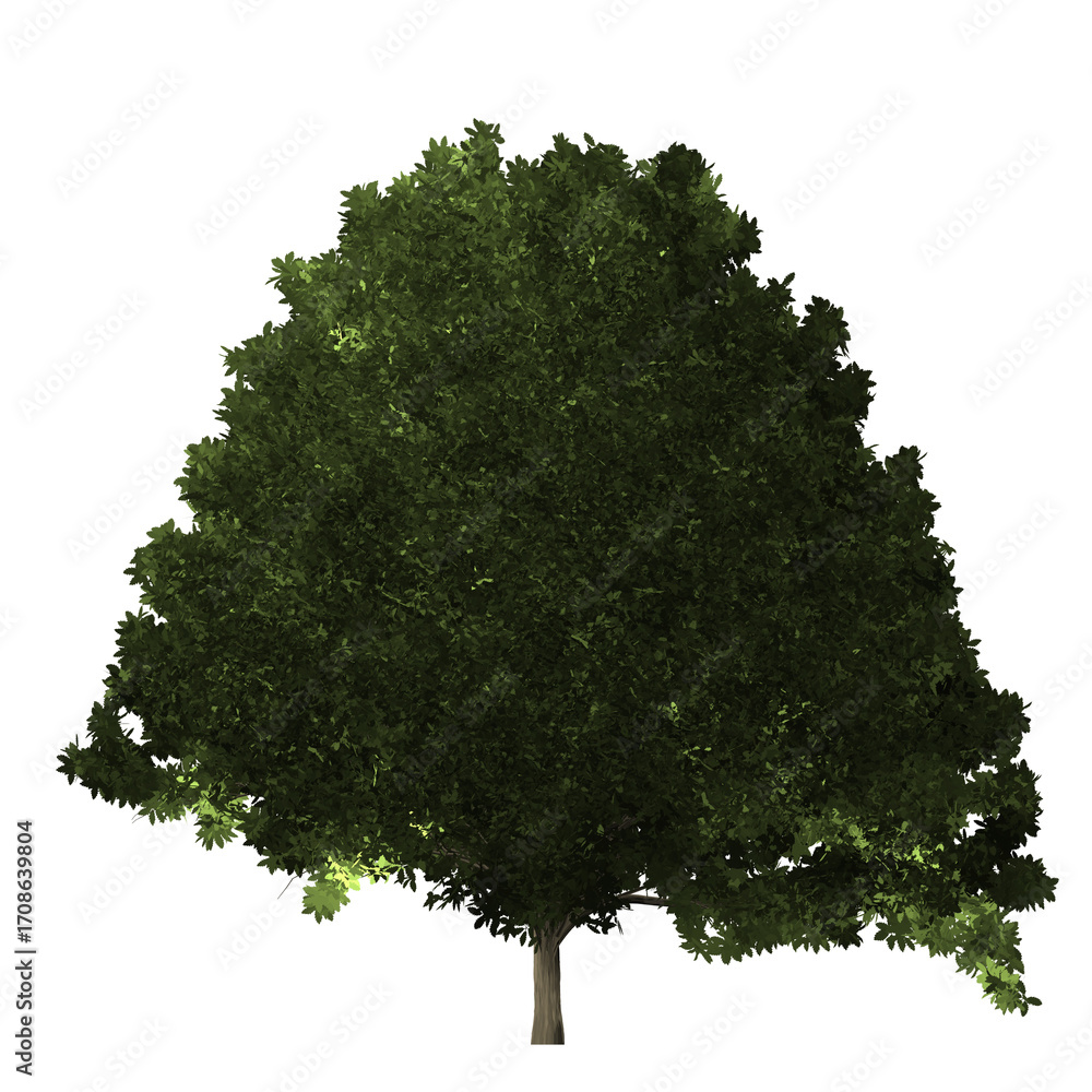 Poster a single tree with dense green foliage and a short trunk isolated against a black background space f