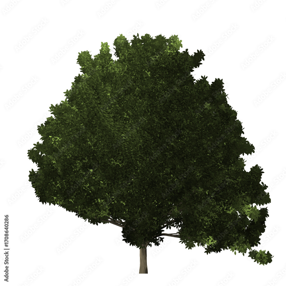 Poster a digitally rendered tree with dense green foliage against a stark black background in a studio sett