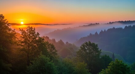 Obraz premium Beautiful sunrise over a misty forest landscape view