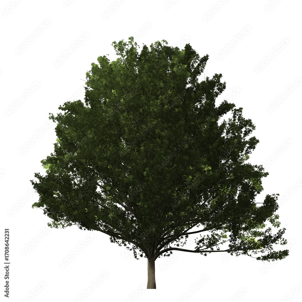 Poster a single tree with dense green foliage and a visible trunk set against a stark black background spac