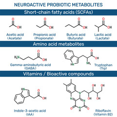 Neuroactive probiotic metabolites: short-chain fatty acids, SCFAs, amino acid metabolites. Acetic, propionic, butyric, lactic acid, GABA, tryptophan, indole-3-acetic acid, riboflavin