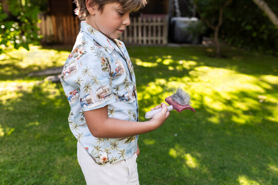 Child checking brush in responsible pet care
